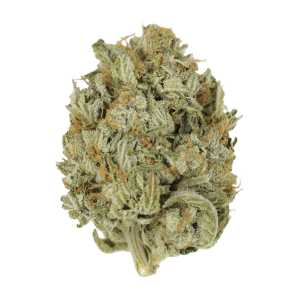 Blue Dream (Popcorn) | Cheapweed.io Canada