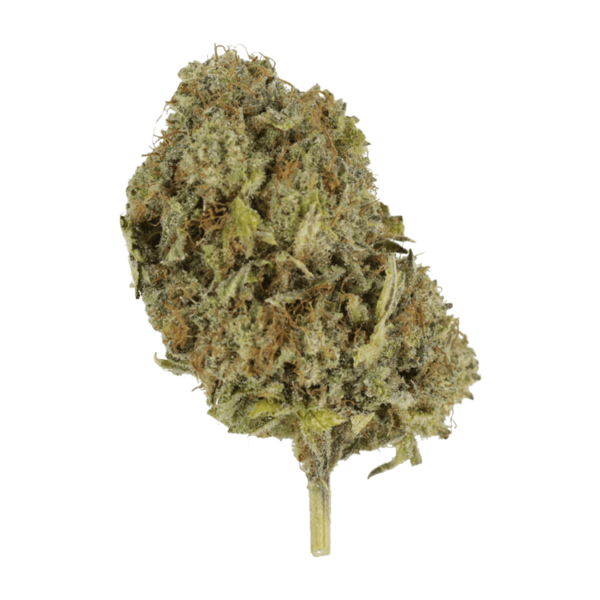 God’s Green Crack | Cheapweed.io Canada