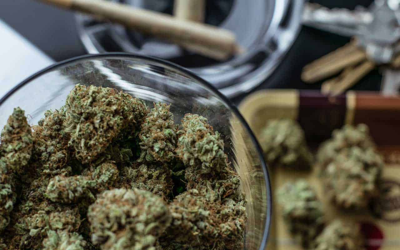 Premium cannabis vs Affordable Weed | Cheapweed.io Canada