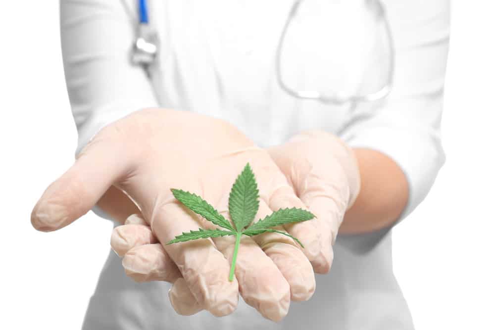 Cannabis as a natural cure for pain | Cheapweed.io Canada