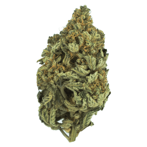 Bakerstreet | Cheapweed.io Canada