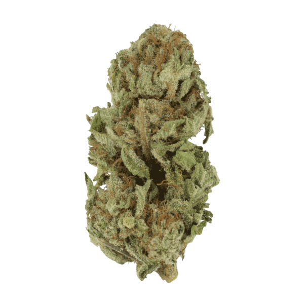 Golden Goat | Cheapweed.io Canada