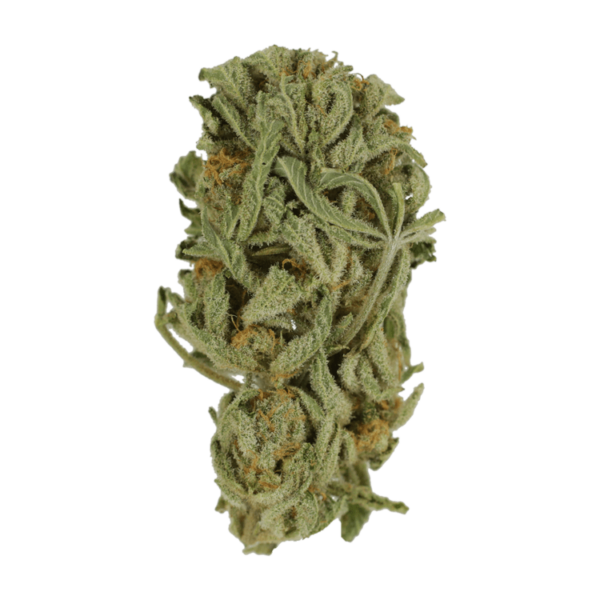 Master Kush Ultra | Cheapweed.io Canada