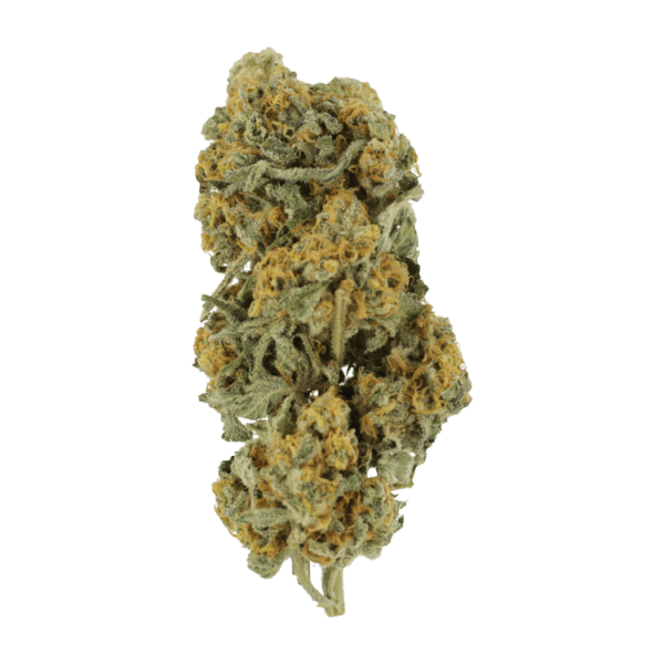 Miracle Alien Cookies | Cheapweed.io Canada