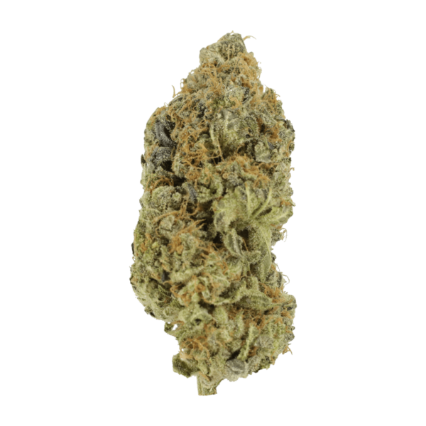 Critical Widow | Cheapweed.io Canada