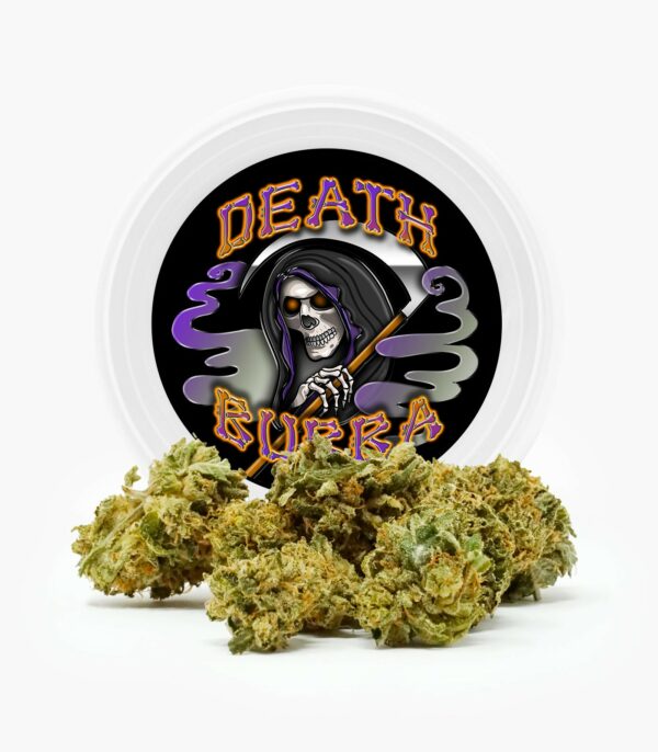 Westcoast Cali Tins – Premium Flower – Skywalker OG – 3.5g | Cheapweed.io Canada