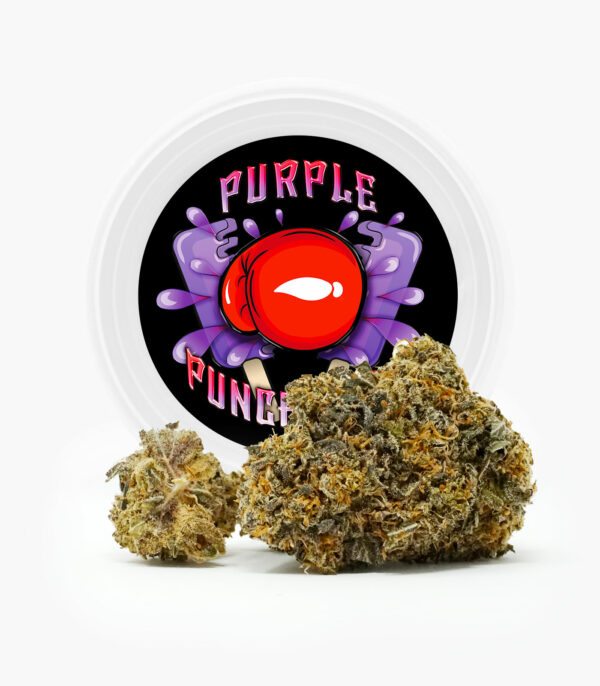 Westcoast Cali Tins – Premium Flower – Purple Punchsicle – 14g | Cheapweed.io Canada