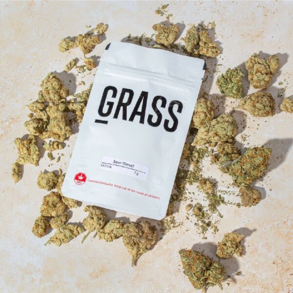 1/2OZ Sample Pack (AAA) – SAVE 20% | Cheapweed.io Canada
