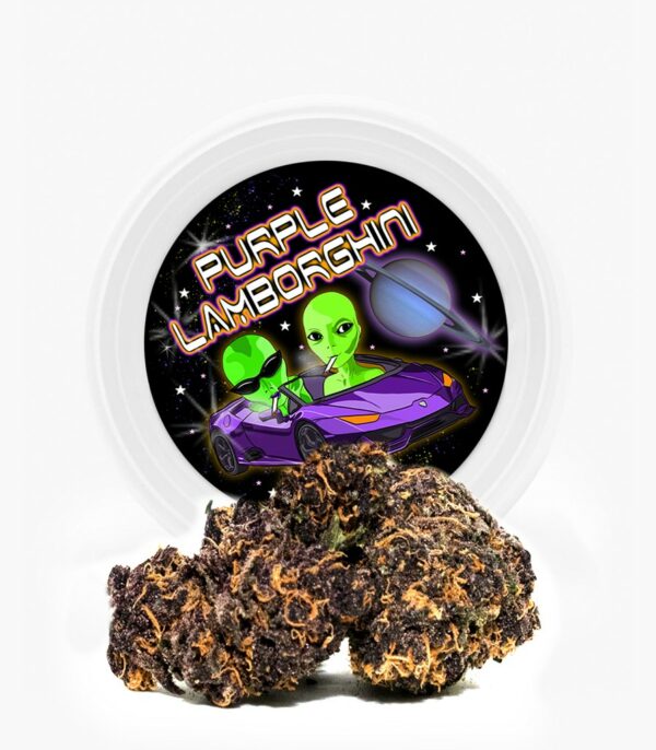 Westcoast Cali Tins – Premium Flower – Purple Lamborghini – 3.5g | Cheapweed.io Canada
