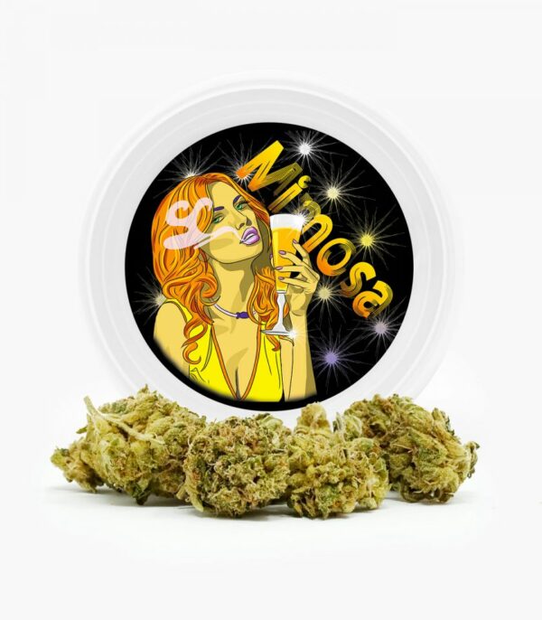 Westcoast Cali Tins – Premium Flower – Mimosa – 3.5g | Cheapweed.io Canada