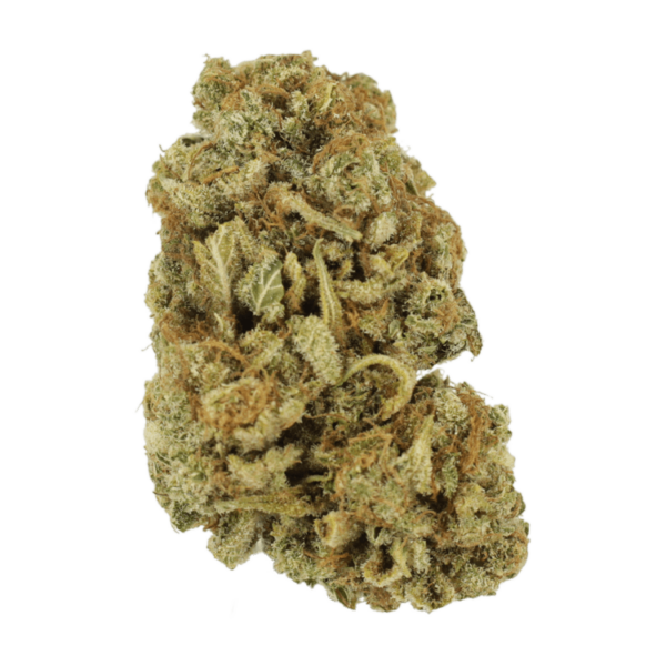 Blackwater | Cheapweed.io Canada