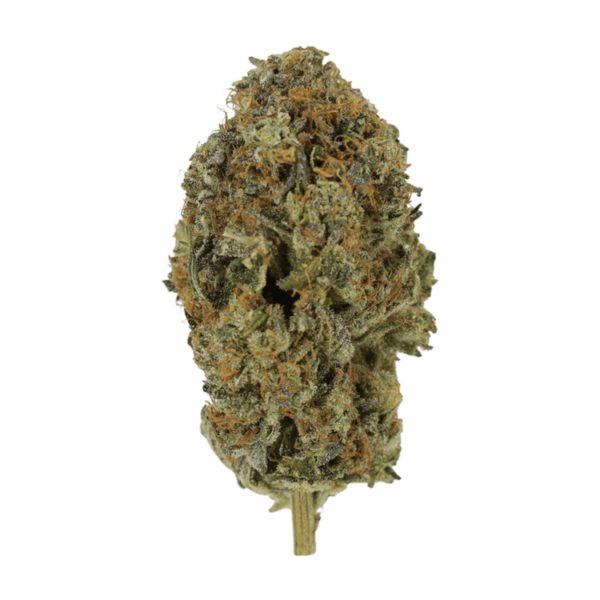 Acapulco Gold | Cheapweed.io Canada
