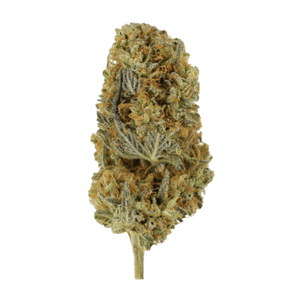 Headband | Cheapweed.io Canada