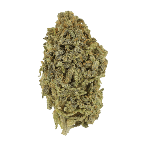 Watermelon Gelato | Cheapweed.io Canada