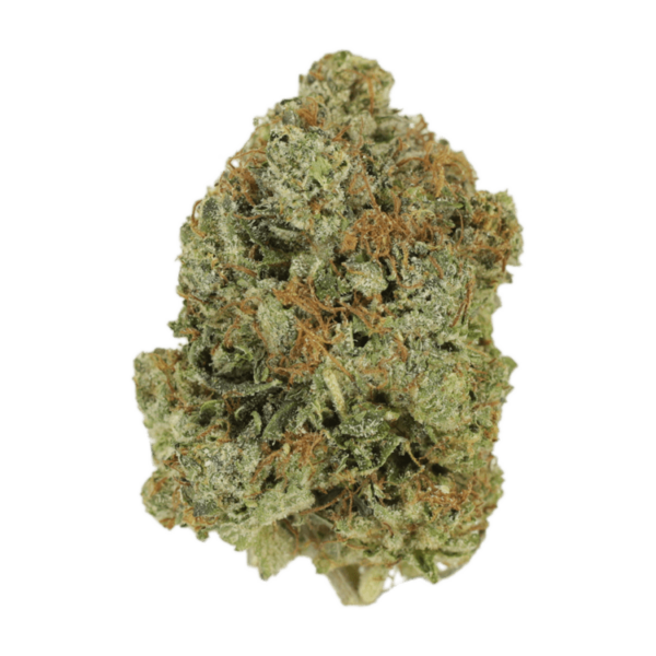 Jack Herer (popcorn) | Cheapweed.io Canada