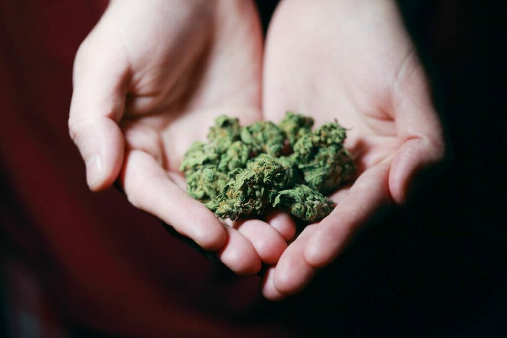 Best dispensary in canada | Cheapweed.io Canada