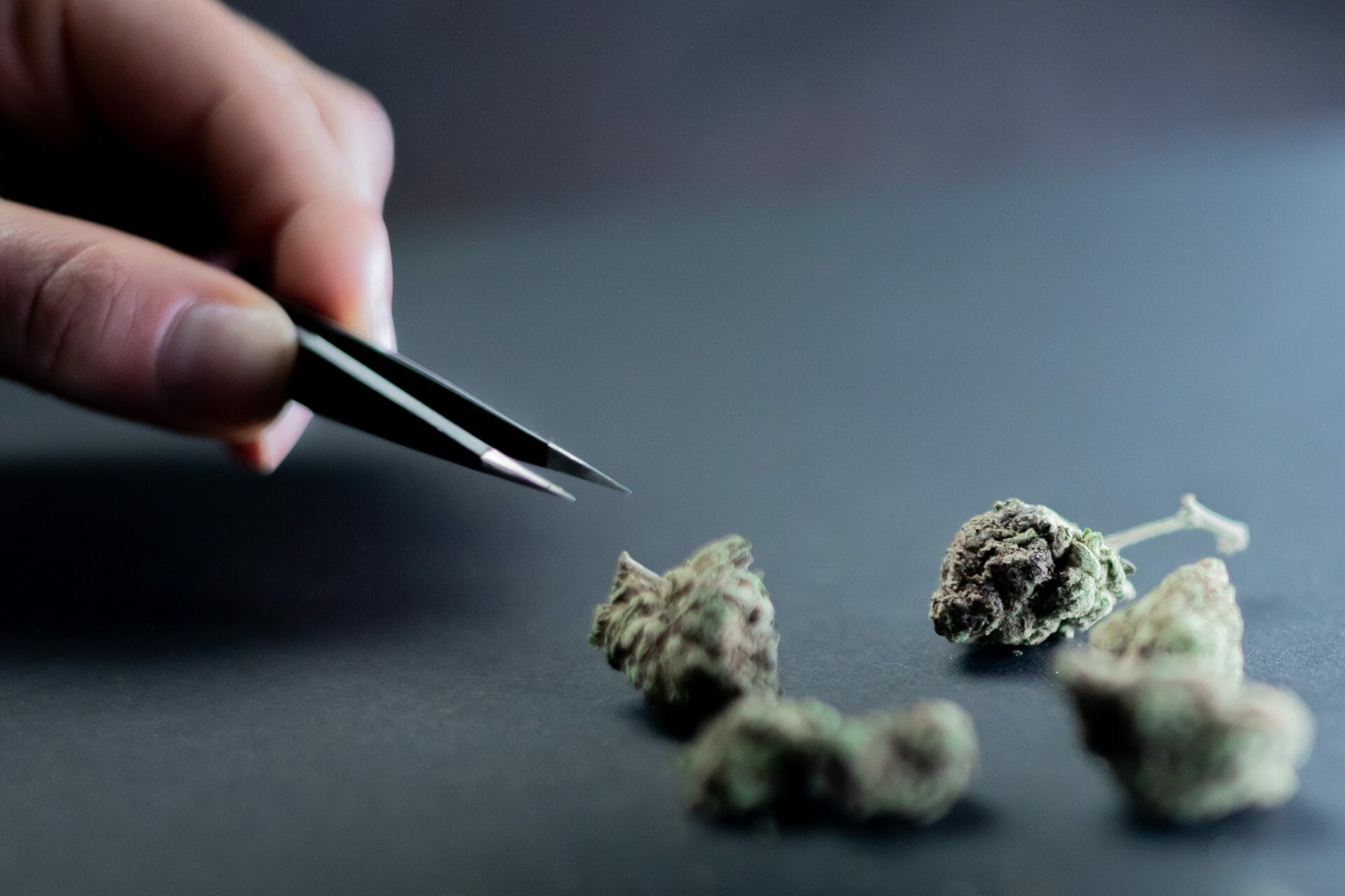 Buy cannabis Online Canada | Cheapweed.io Canada