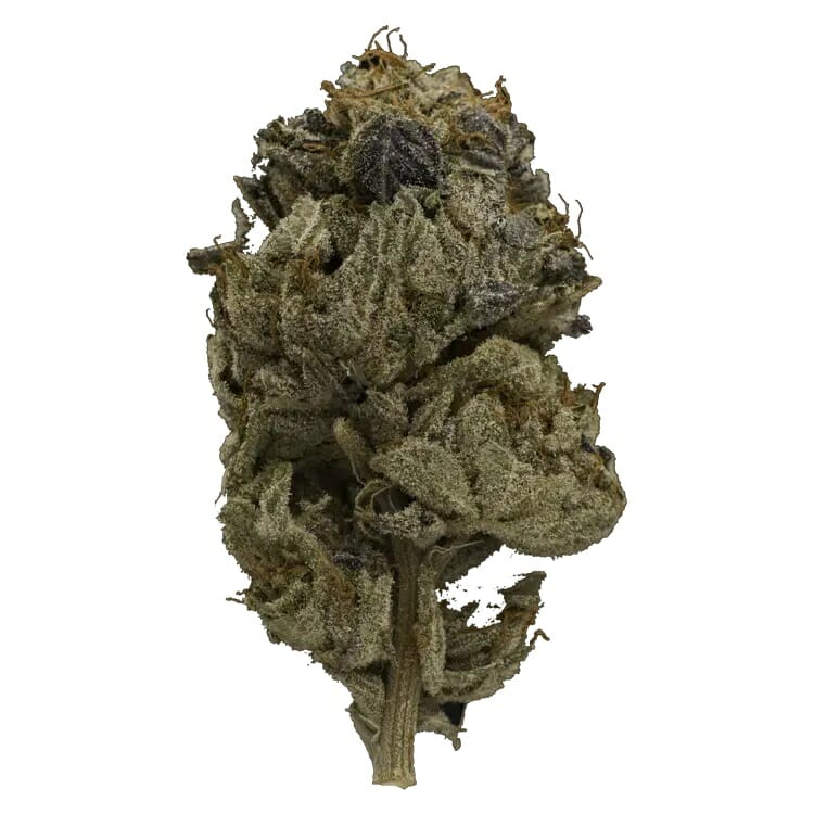 Enjoy the Heavy Indica Effects of Pink Gas Mask Strain | Cheapweed.io Canada | Cheapweed.io Canada