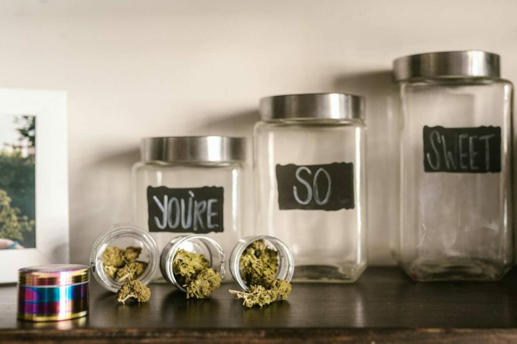 Beyond the Bud: The Role of a cannabis Dispensary in Promoting Wellness | Cheapweed.io Canada | Cheapweed.io Canada