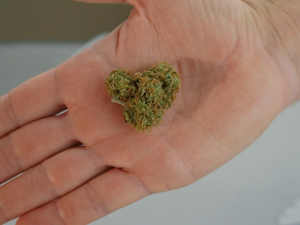 cannabis marijuana Canada | Cheapweed.io Canada