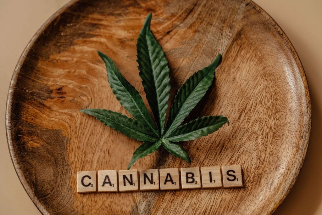 Beyond the Bud: The Role of a cannabis Dispensary in Promoting Wellness | Cheapweed.io Canada | Cheapweed.io Canada