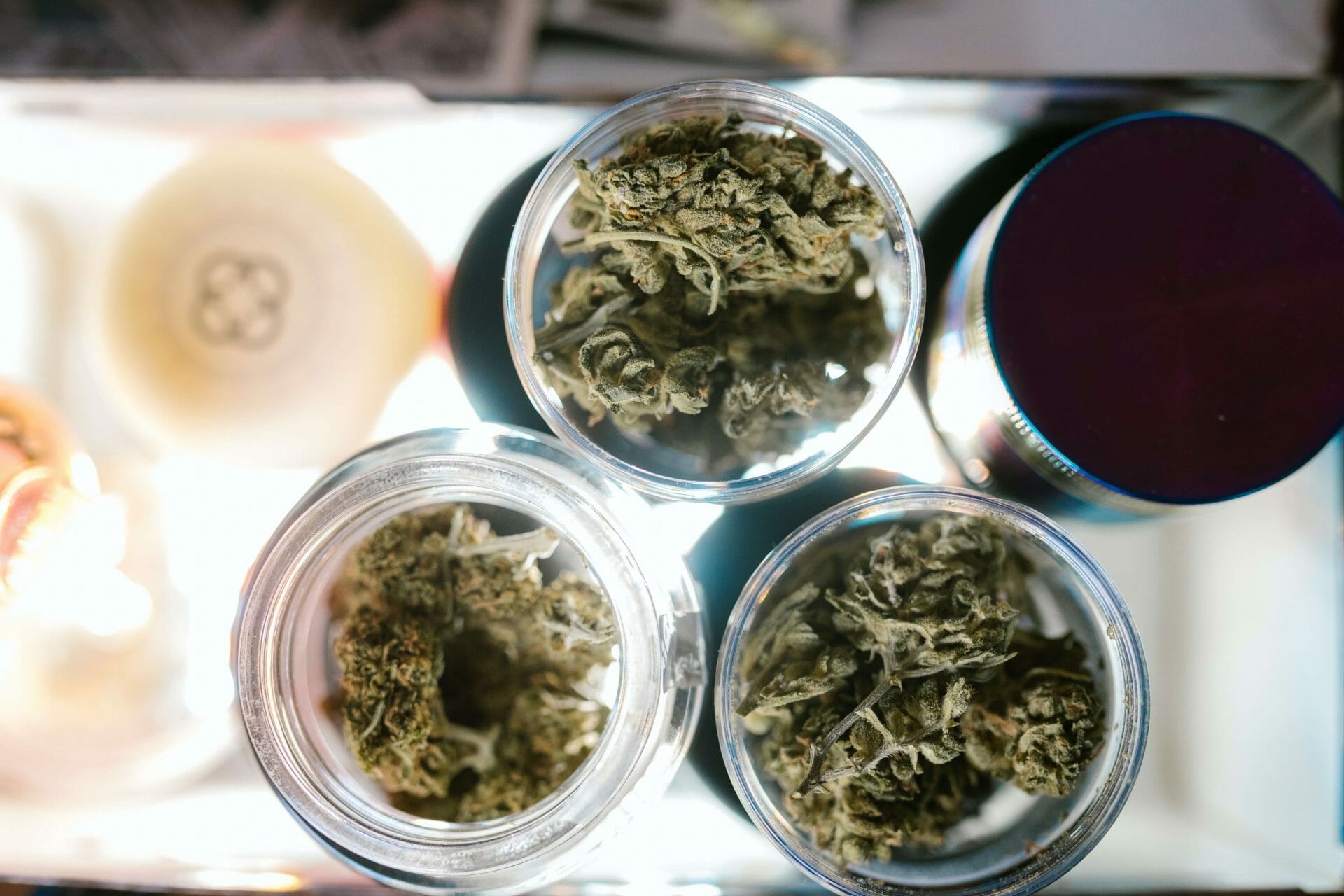 Craft cannabis canada | Cheapweed.io Canada