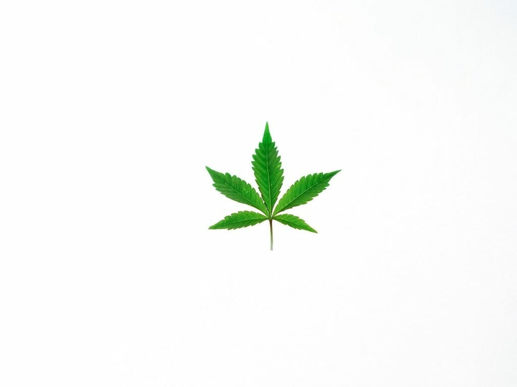 Benefits of Shopping in a BC cannabis Online Dispensary | Cheapweed.io Canada