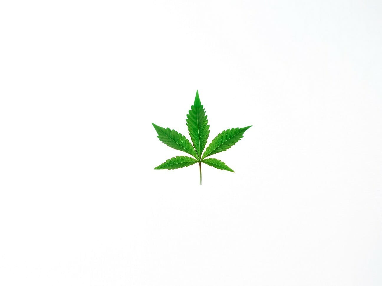 Benefits of Shopping in a BC cannabis Online Dispensary | Cheapweed.io Canada