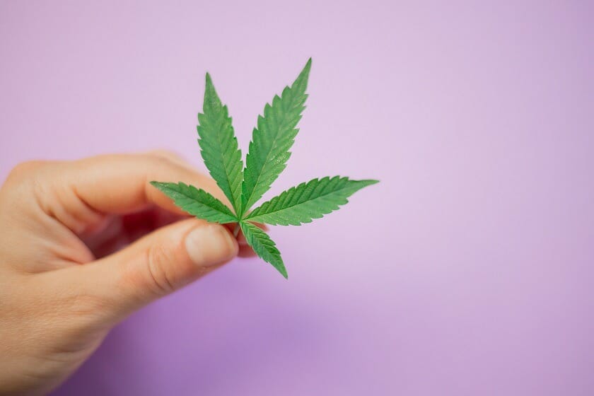 Cheapweed.io Canada: Your One-Stop Shop for Premium cannabis Products | Cheapweed.io Canada