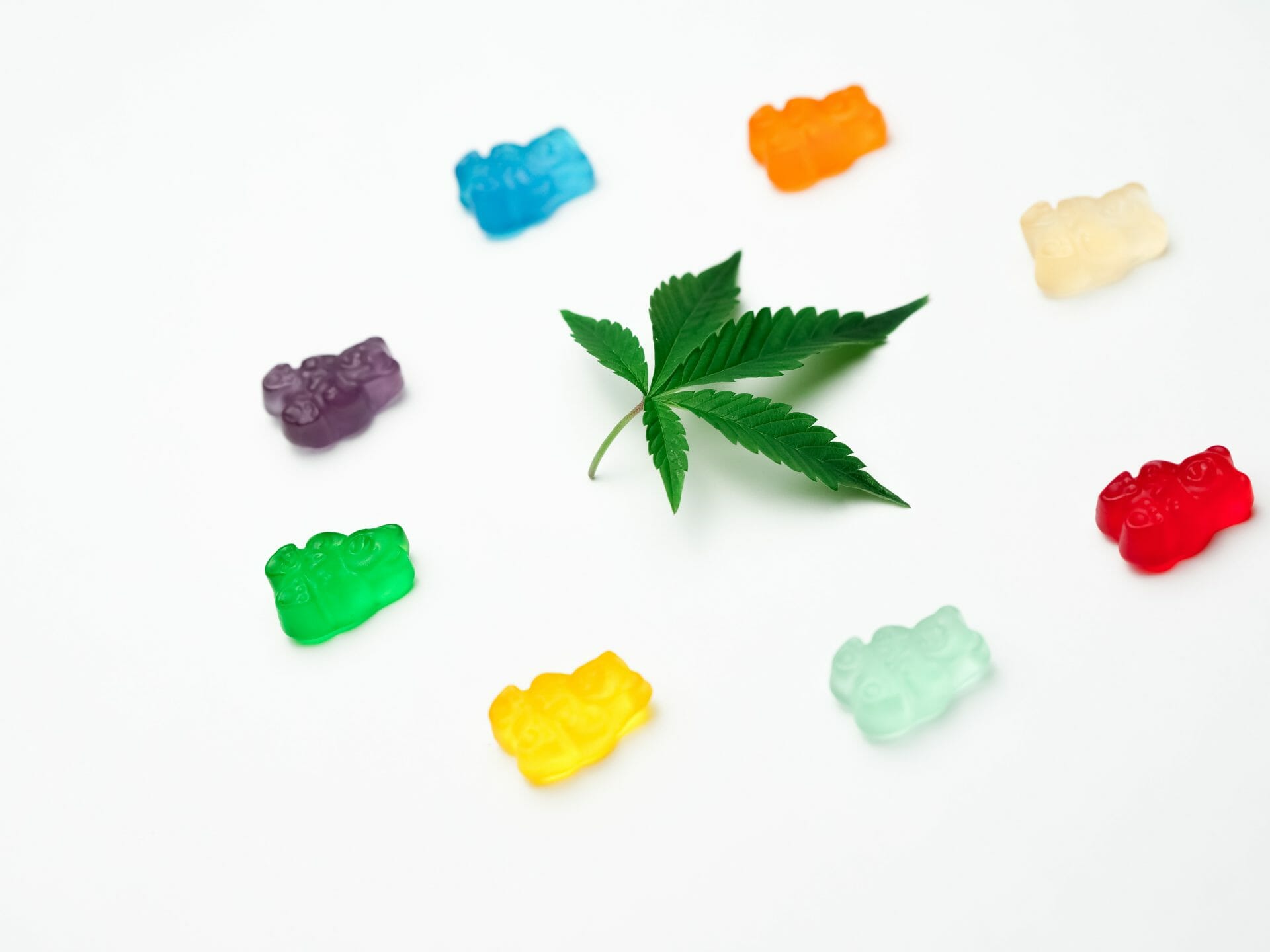 | Cheapweed.io Canada Grasslife - cannabis Dispensaries | Cheapweed.io Canada