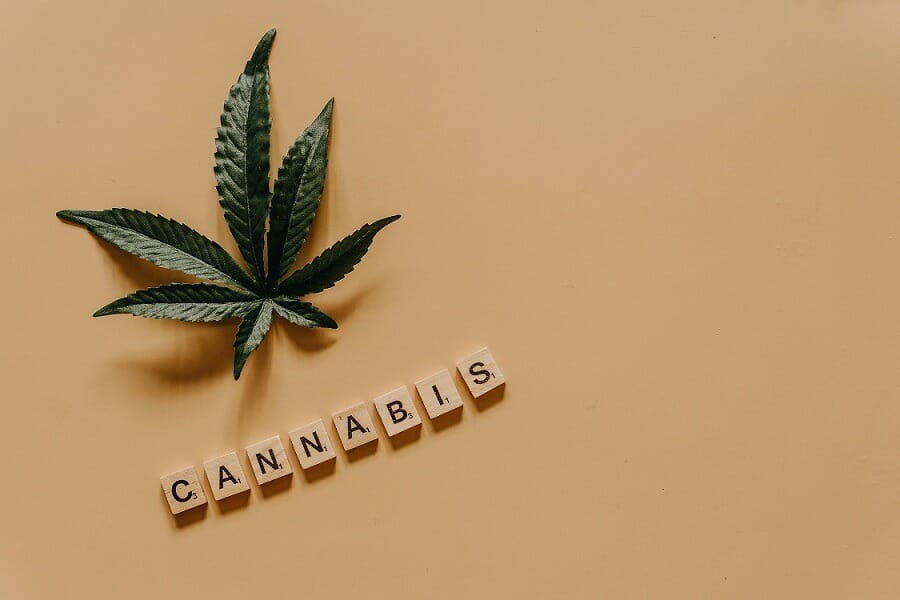 Cannabis weed | Cheapweed.io Canada