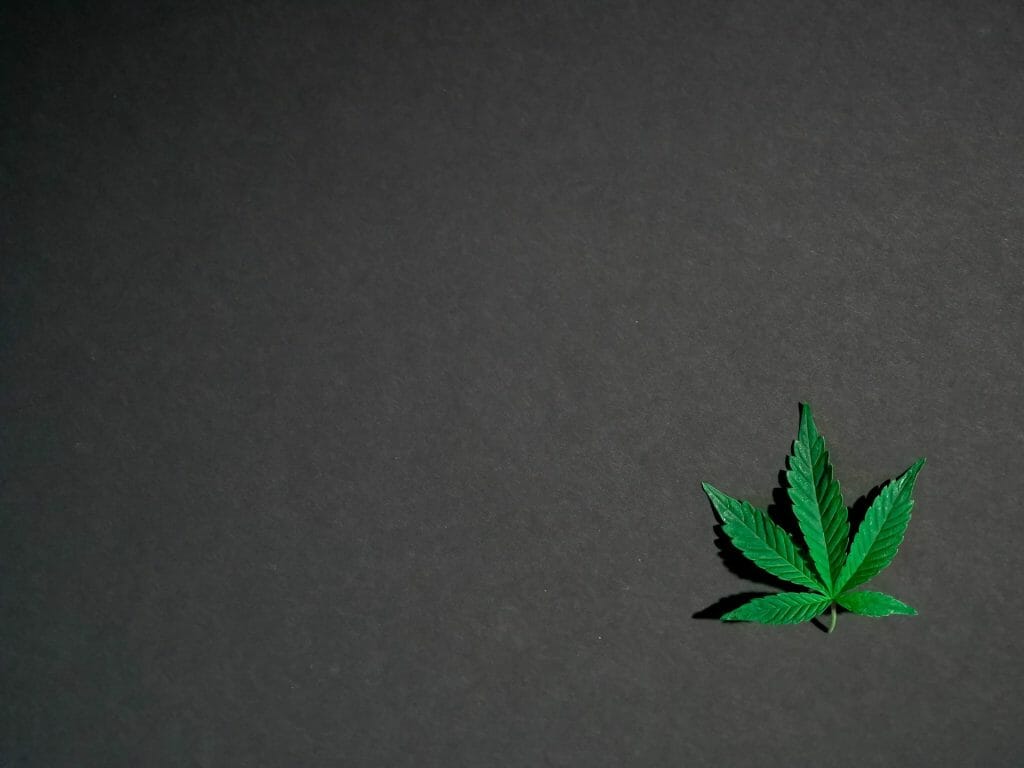 Hybrid Weed | Cheapweed.io Canada