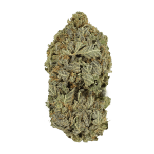 Purple Mimosa | Cheapweed.io Canada