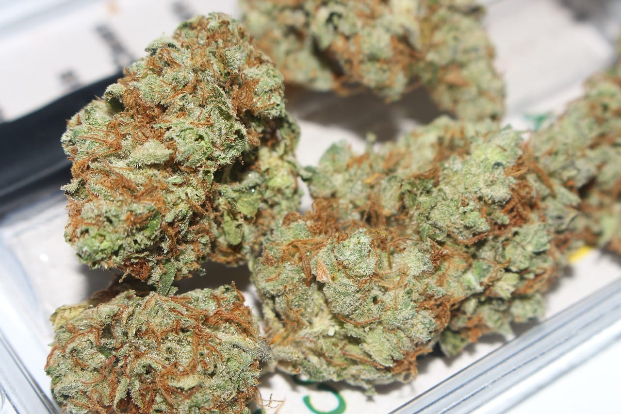 Hybrid cannabis Strains | Cheapweed.io Canada