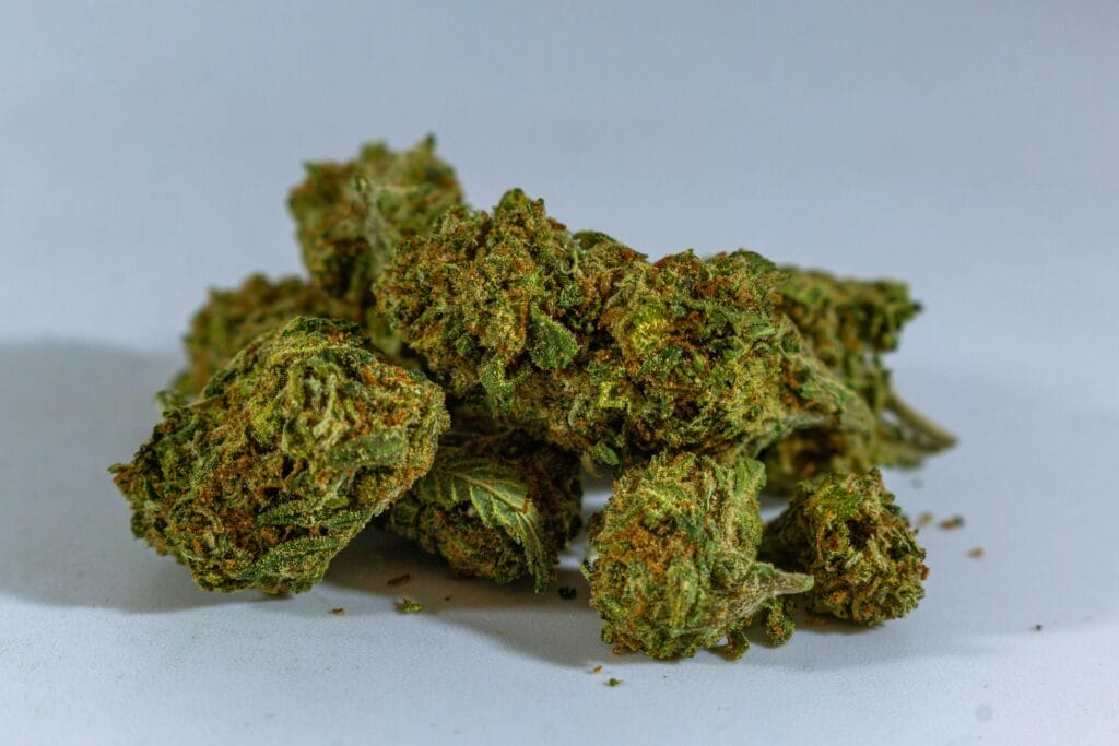 cheap-weed-online-canada | Cheapweed.io Canada